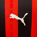 Milan Domicile 24/25