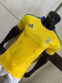 Ukraine Domicile version joueur 26/27