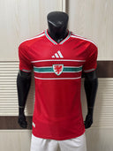 Wales version joueur 26/27