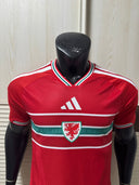 Wales version joueur 26/27