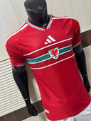 Wales version joueur 26/27